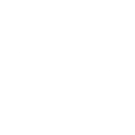 Logotipo do BANCO BV